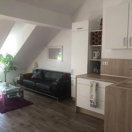 Old Bridge View Apartment هايدلبرغ المظهر الخارجي الصورة
