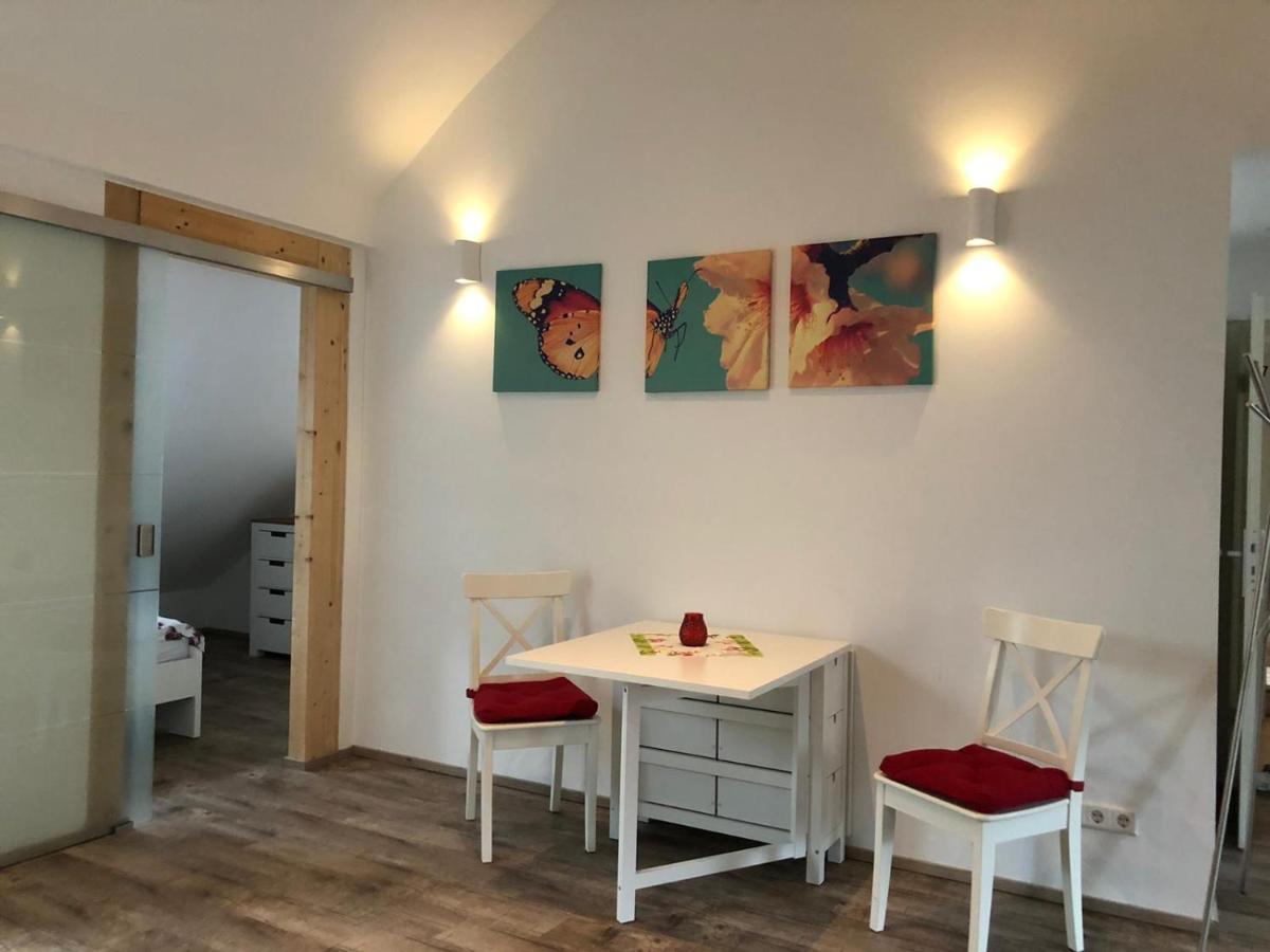 Old Bridge View Apartment هايدلبرغ المظهر الخارجي الصورة