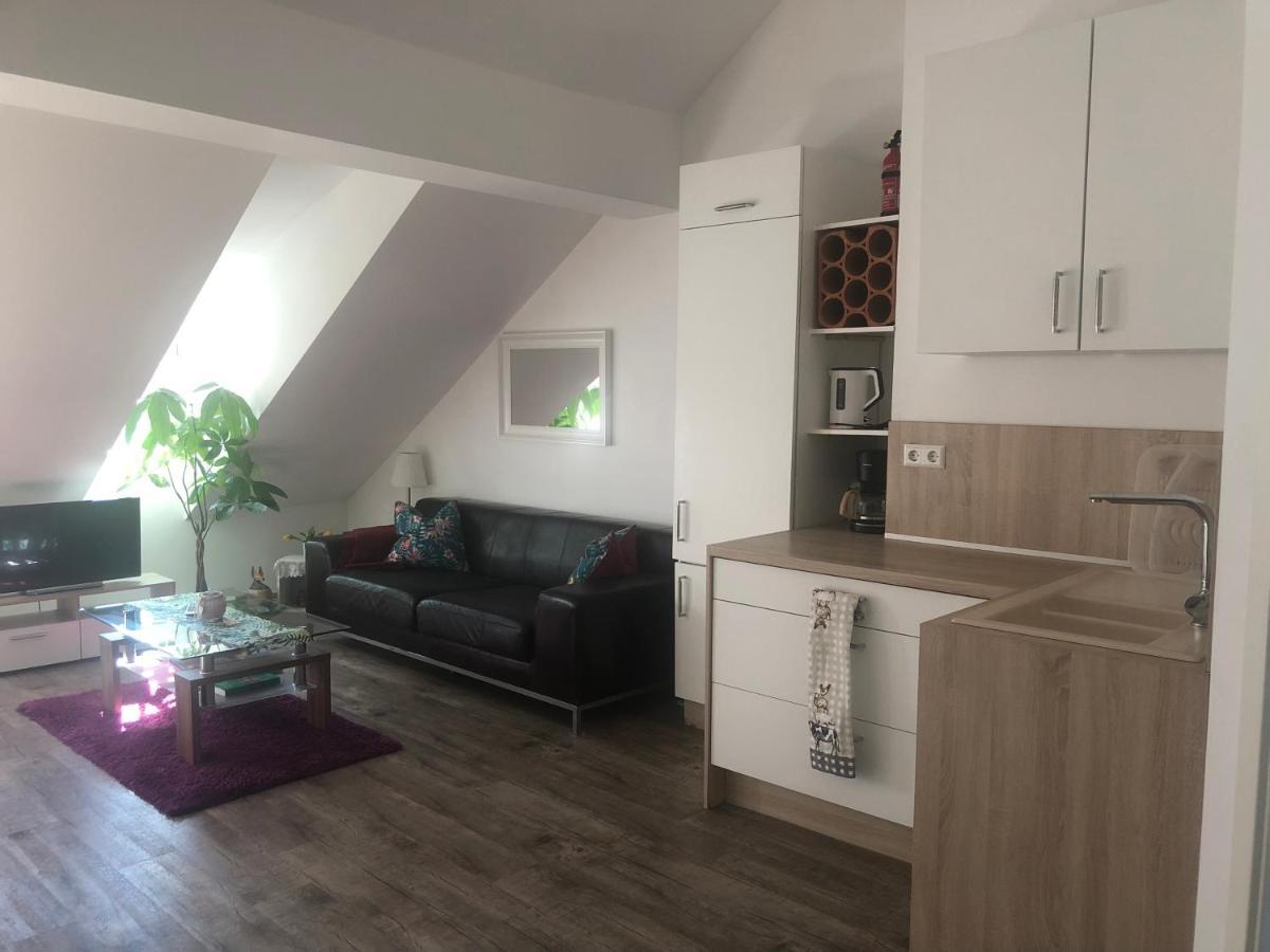 Old Bridge View Apartment هايدلبرغ المظهر الخارجي الصورة