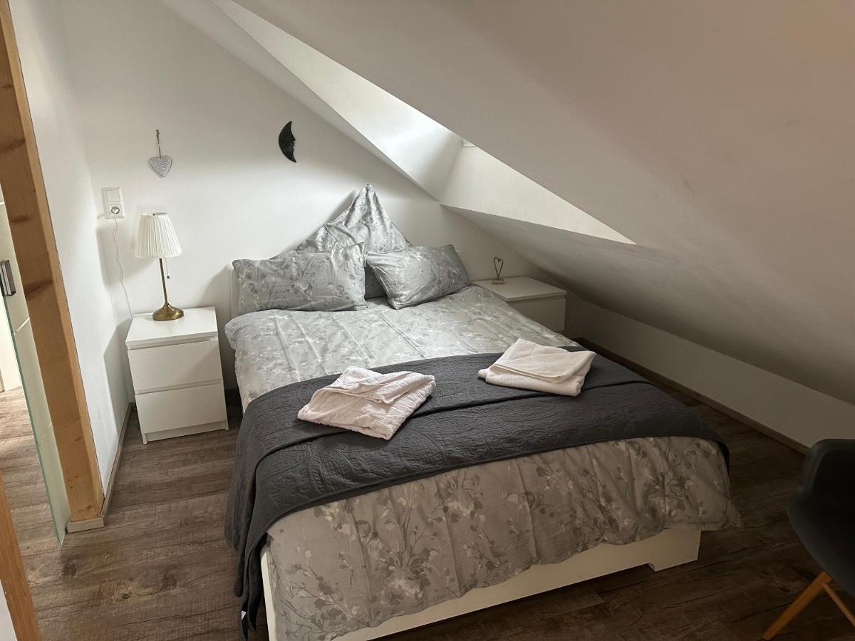 Old Bridge View Apartment هايدلبرغ المظهر الخارجي الصورة