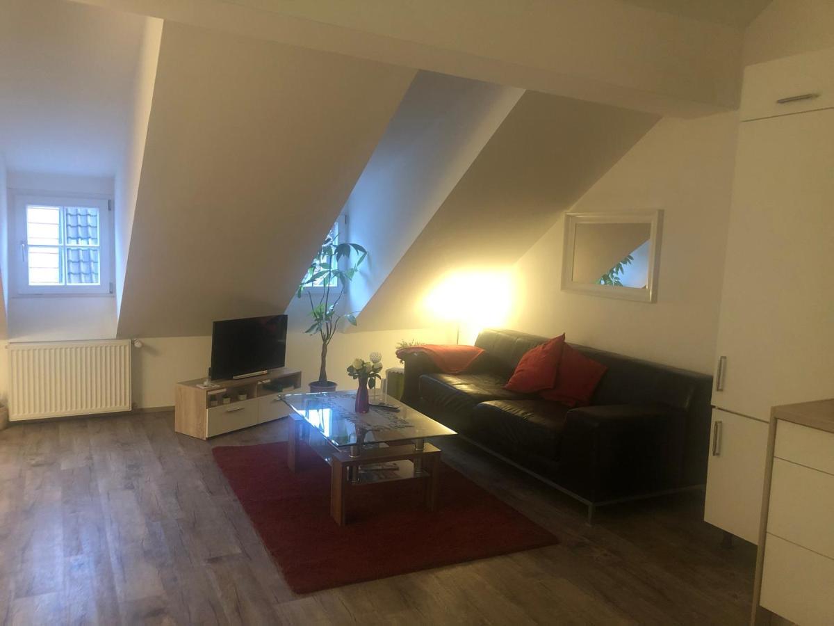 Old Bridge View Apartment هايدلبرغ المظهر الخارجي الصورة