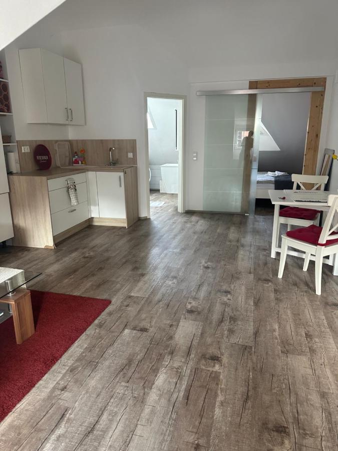 Old Bridge View Apartment هايدلبرغ المظهر الخارجي الصورة
